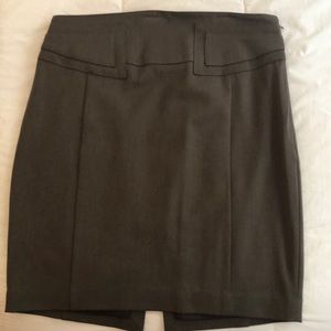 Express Pencil Skirt